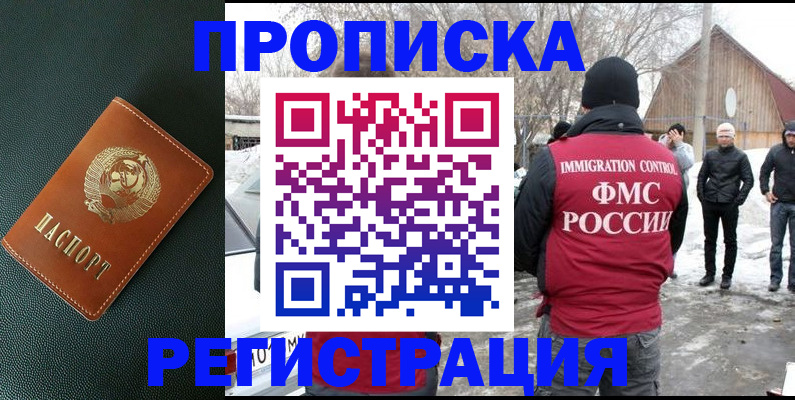 купить прописку в Мытищах